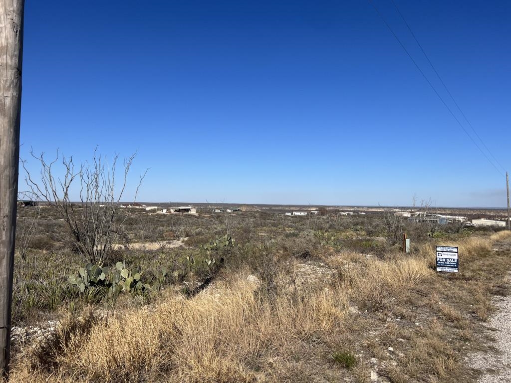 Image 2 of 4 For Lot 32 Silver Spur