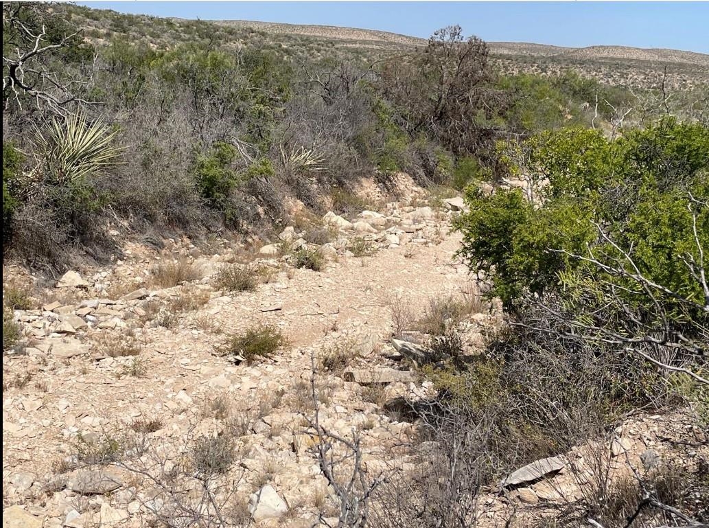 Image 12 of 20 For Hargrove Winters Road