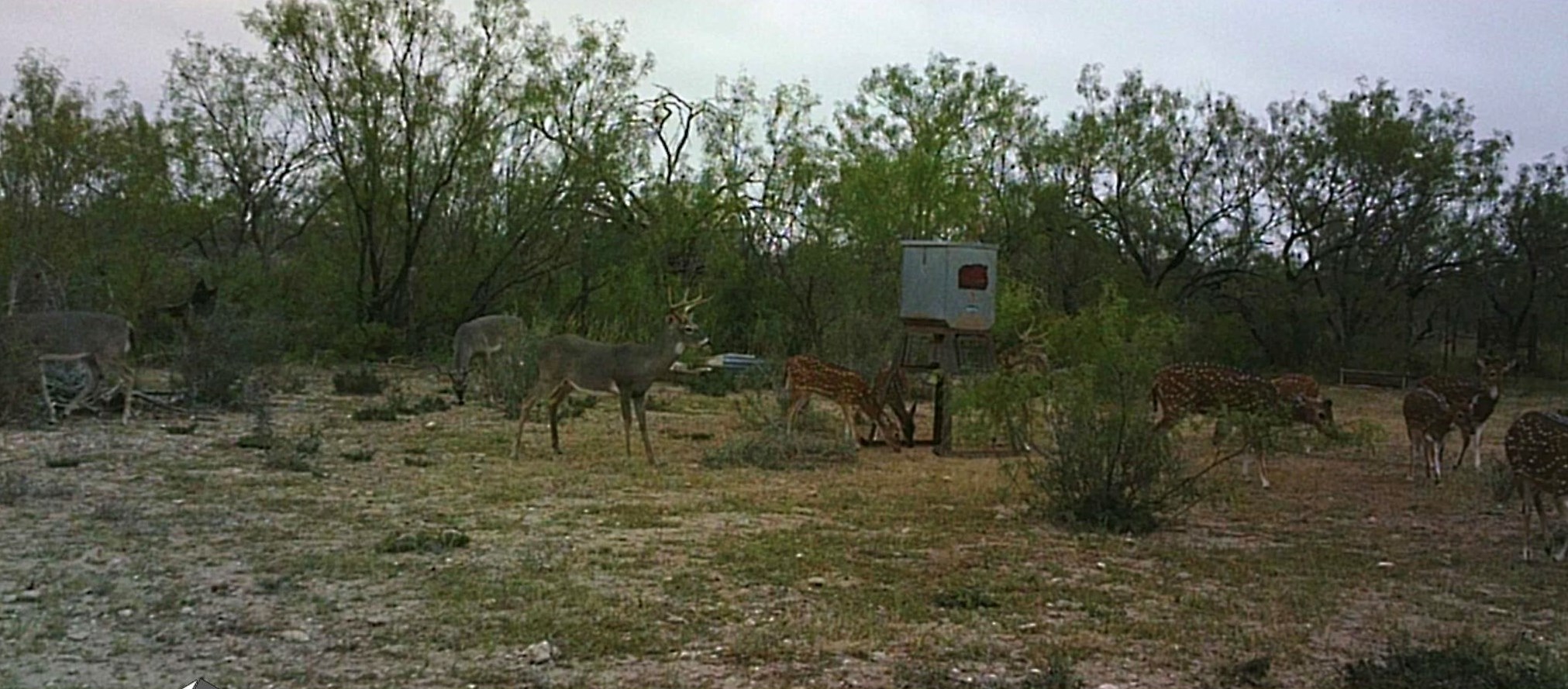 Image 7 of 9 For Lot 20 Rancho Del Rio