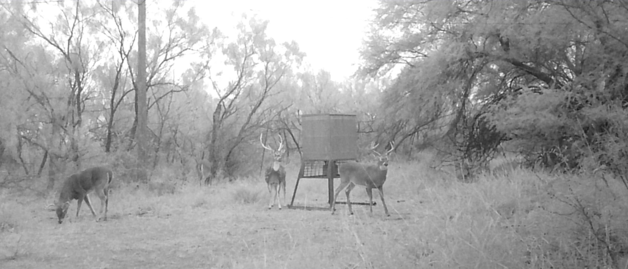 Image 8 of 9 For Lot 20 Rancho Del Rio