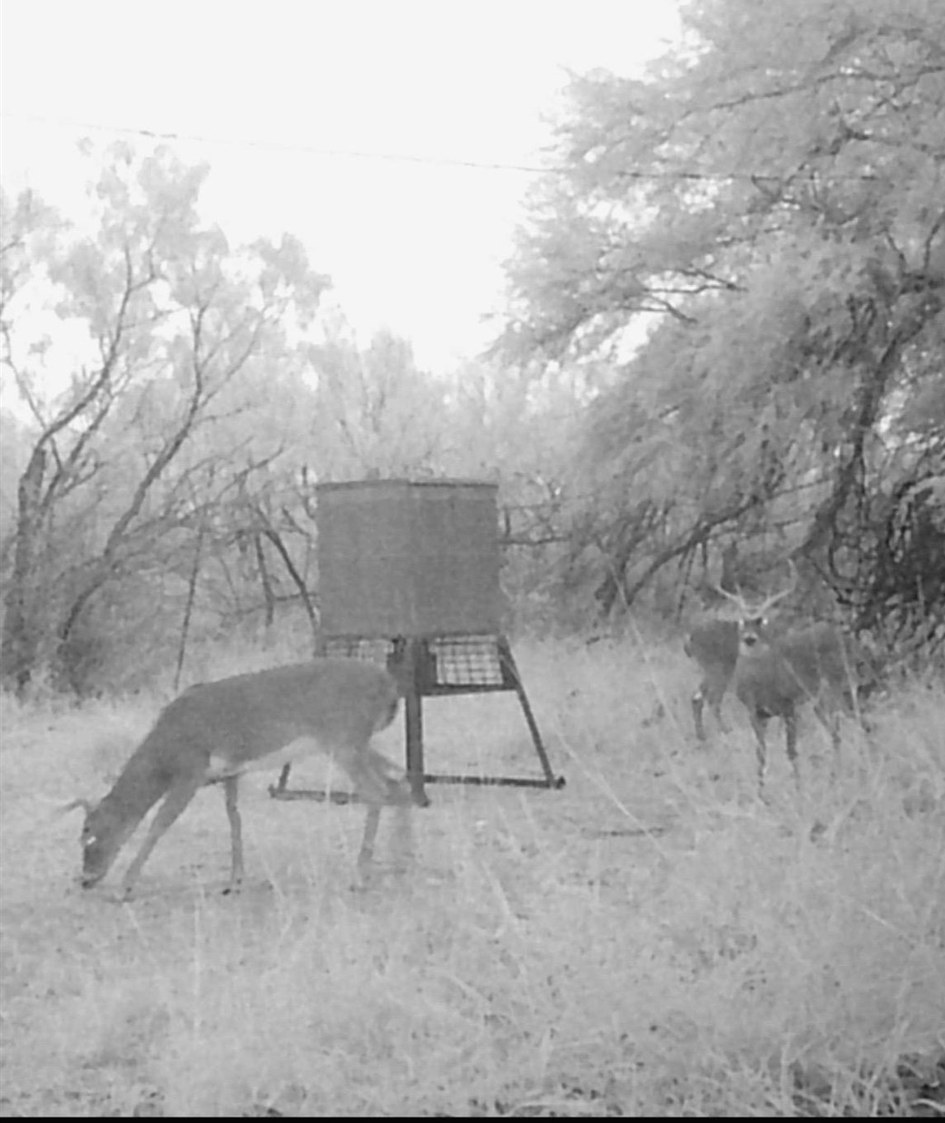Image 9 of 9 For Lot 20 Rancho Del Rio