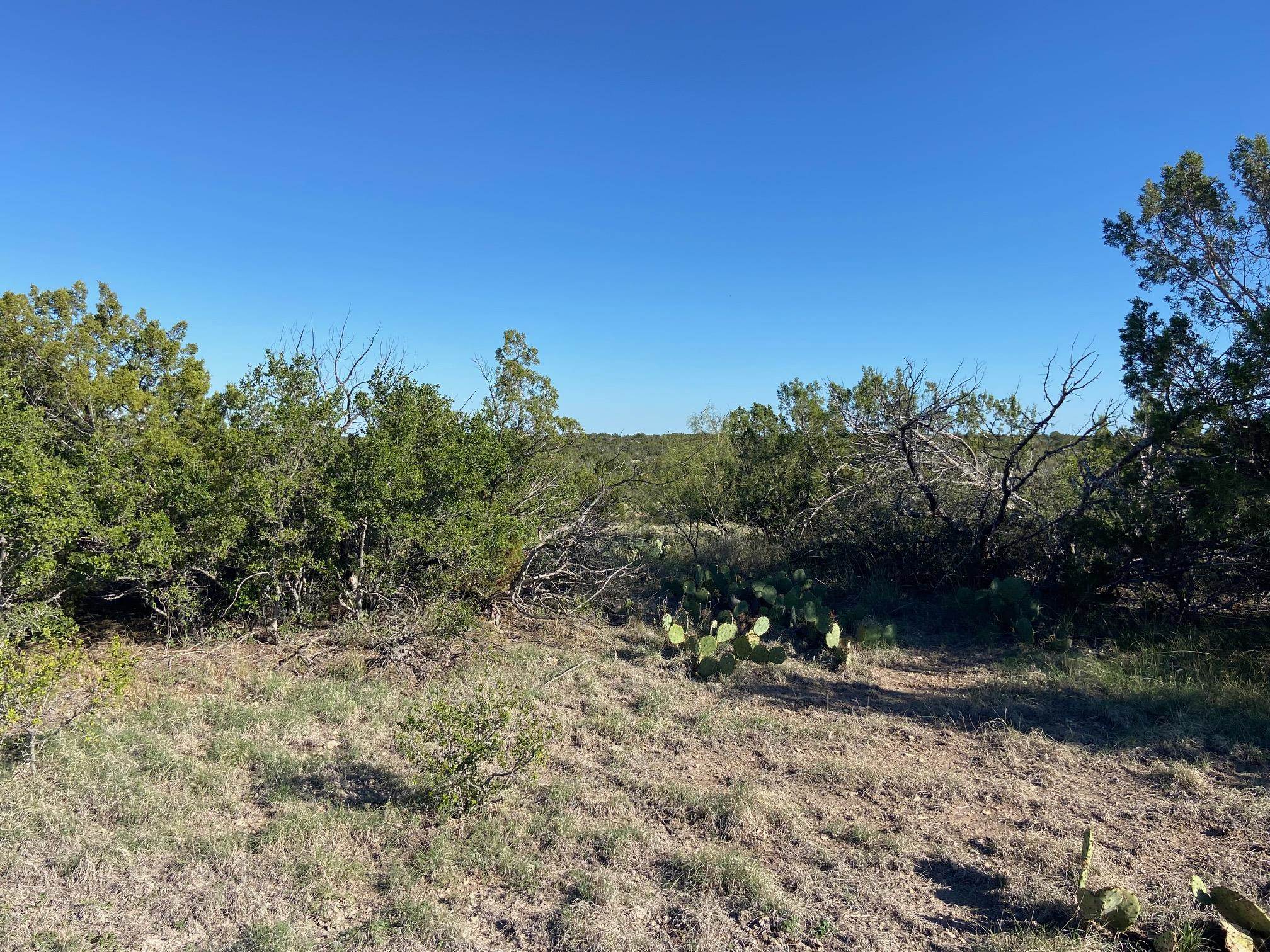 Image 7 of 7 For 000 Oak Mesa Ranch