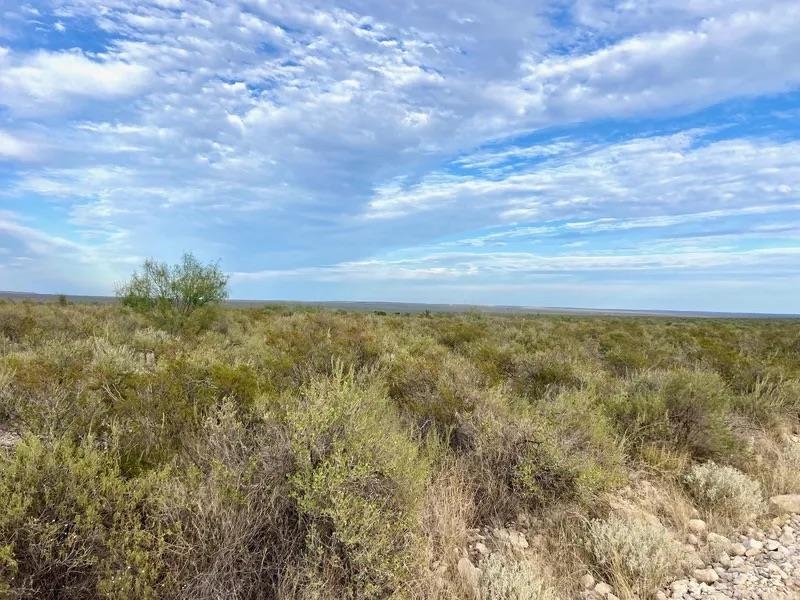 Image 10 of 16 For Rr 1865  