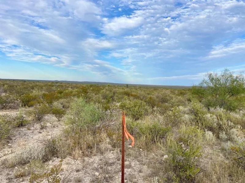 Image 11 of 16 For Rr 1865  
