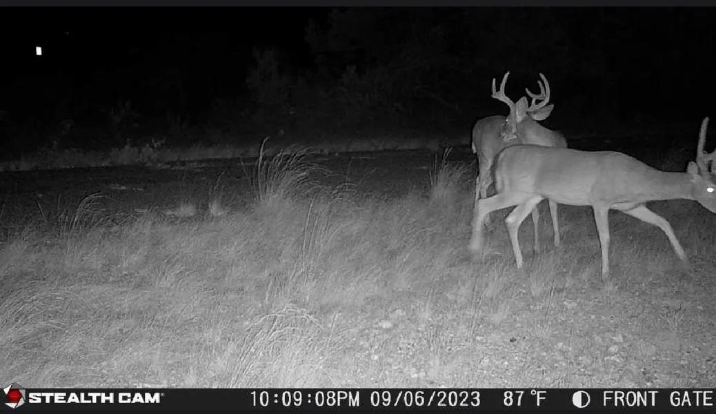 Image 14 of 16 For Rr 1865  