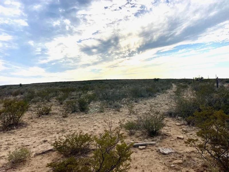Image 15 of 16 For Rr 1865  