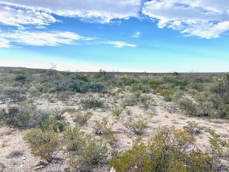 Image 16 of 16 For Rr 1865  