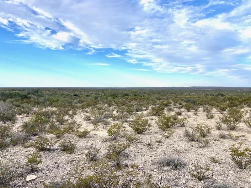 Image 6 of 16 For Rr 1865  