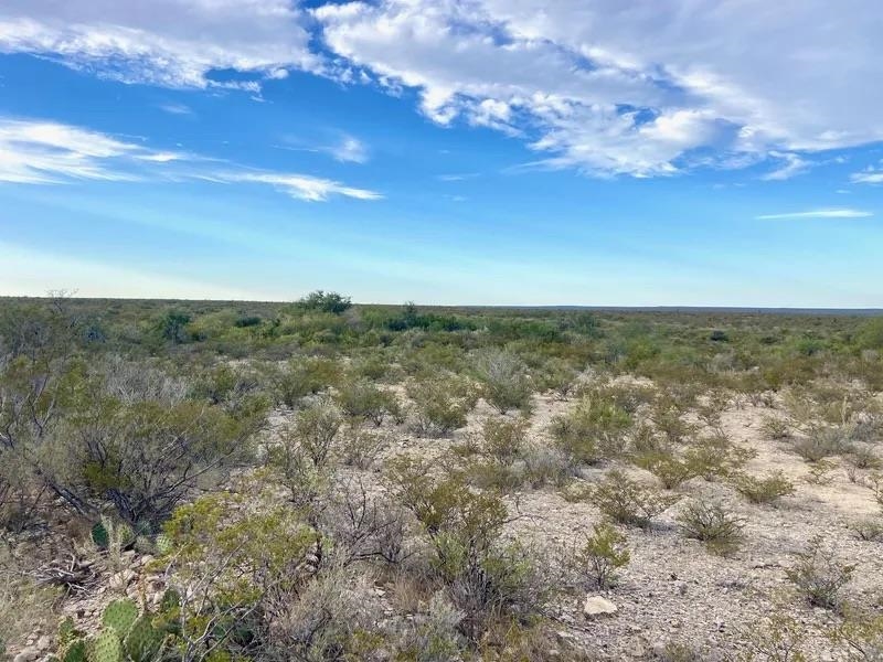 Image 7 of 16 For Rr 1865  