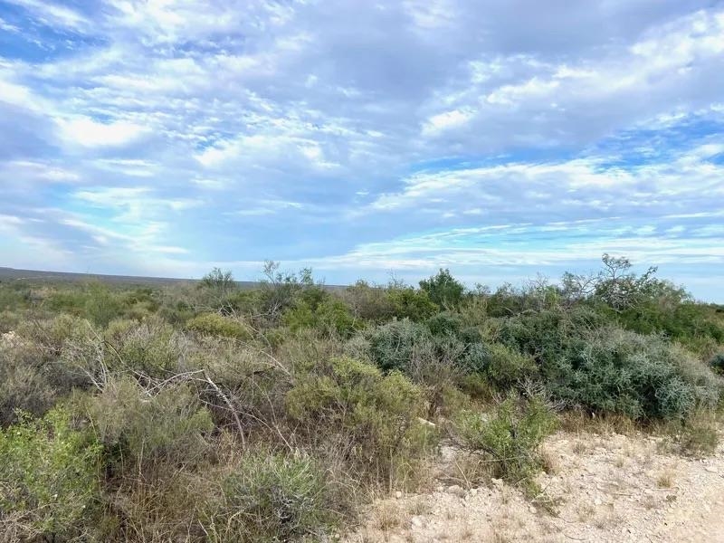 Image 8 of 16 For Rr 1865  