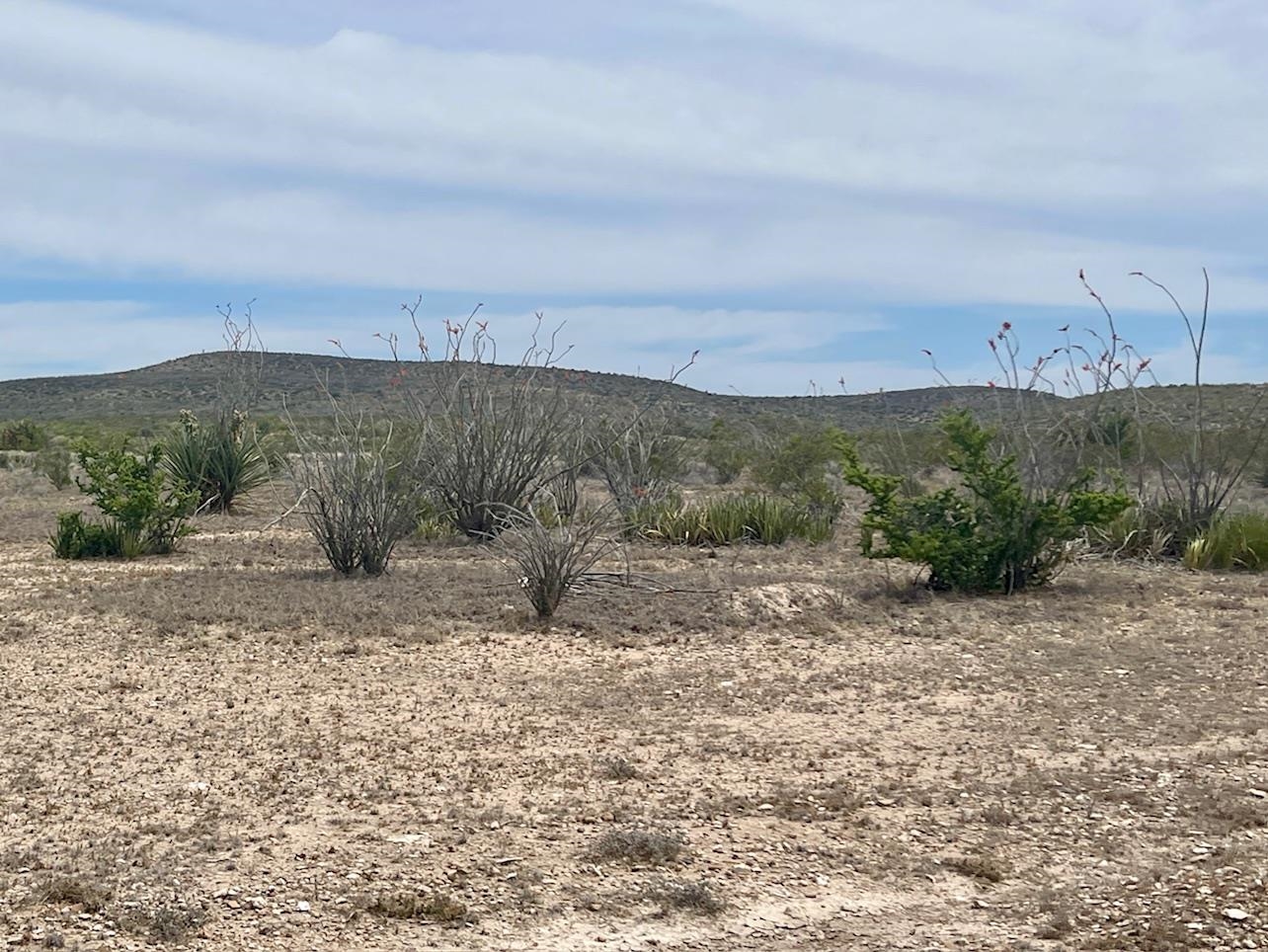 Image 14 of 35 For 000 Rio Ocotillo Ranch