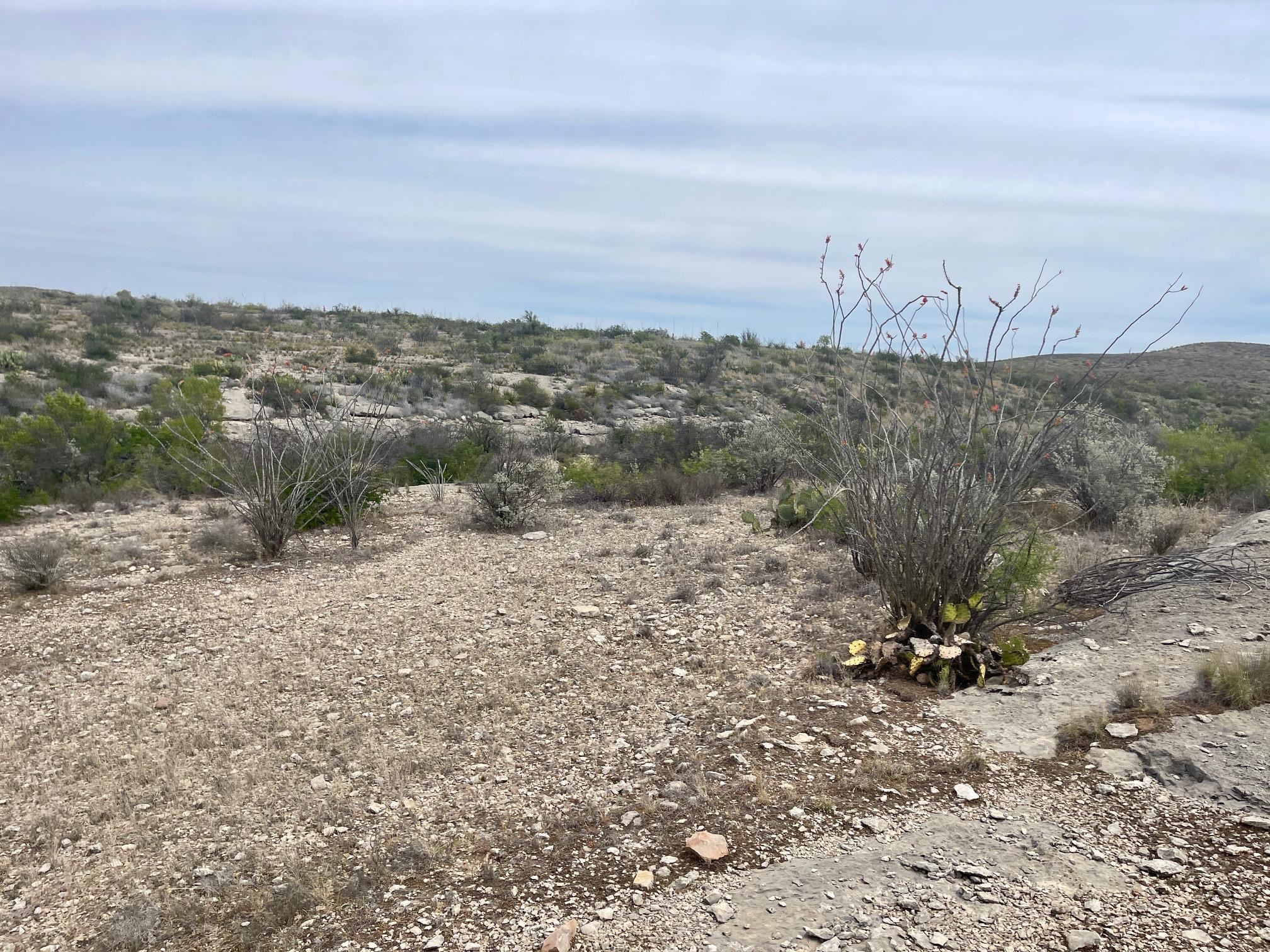 Image 17 of 35 For 000 Rio Ocotillo Ranch