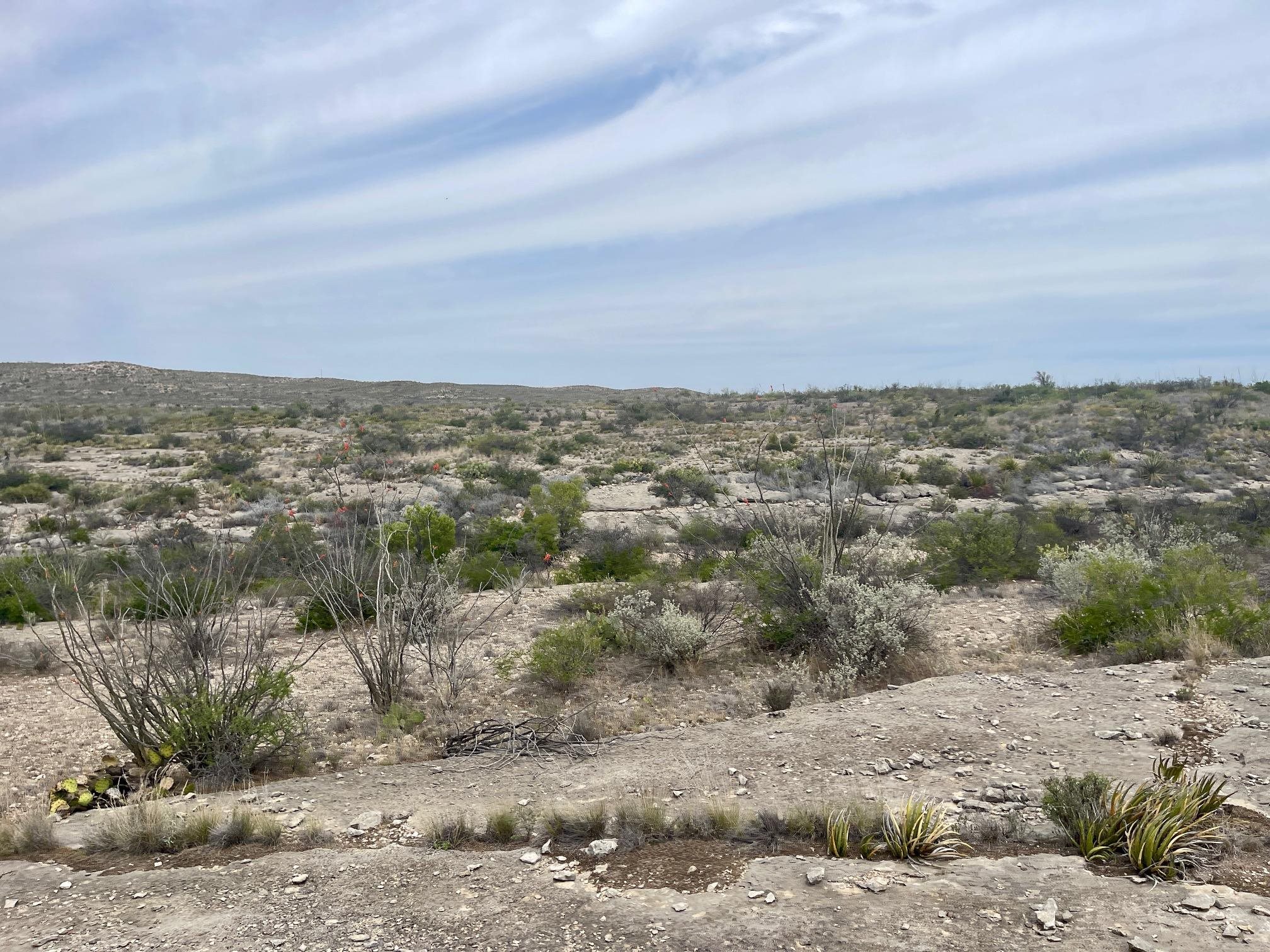 Image 18 of 35 For 000 Rio Ocotillo Ranch