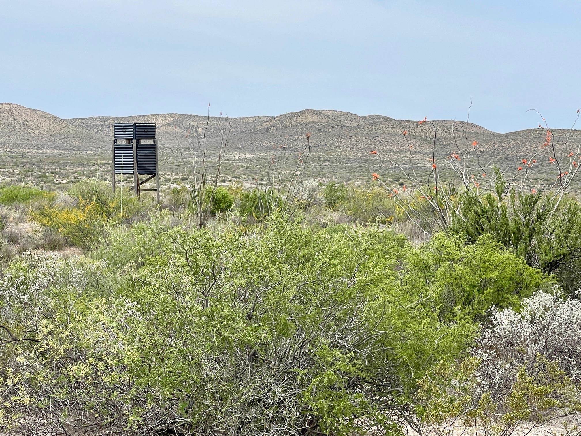 Image 19 of 35 For 000 Rio Ocotillo Ranch