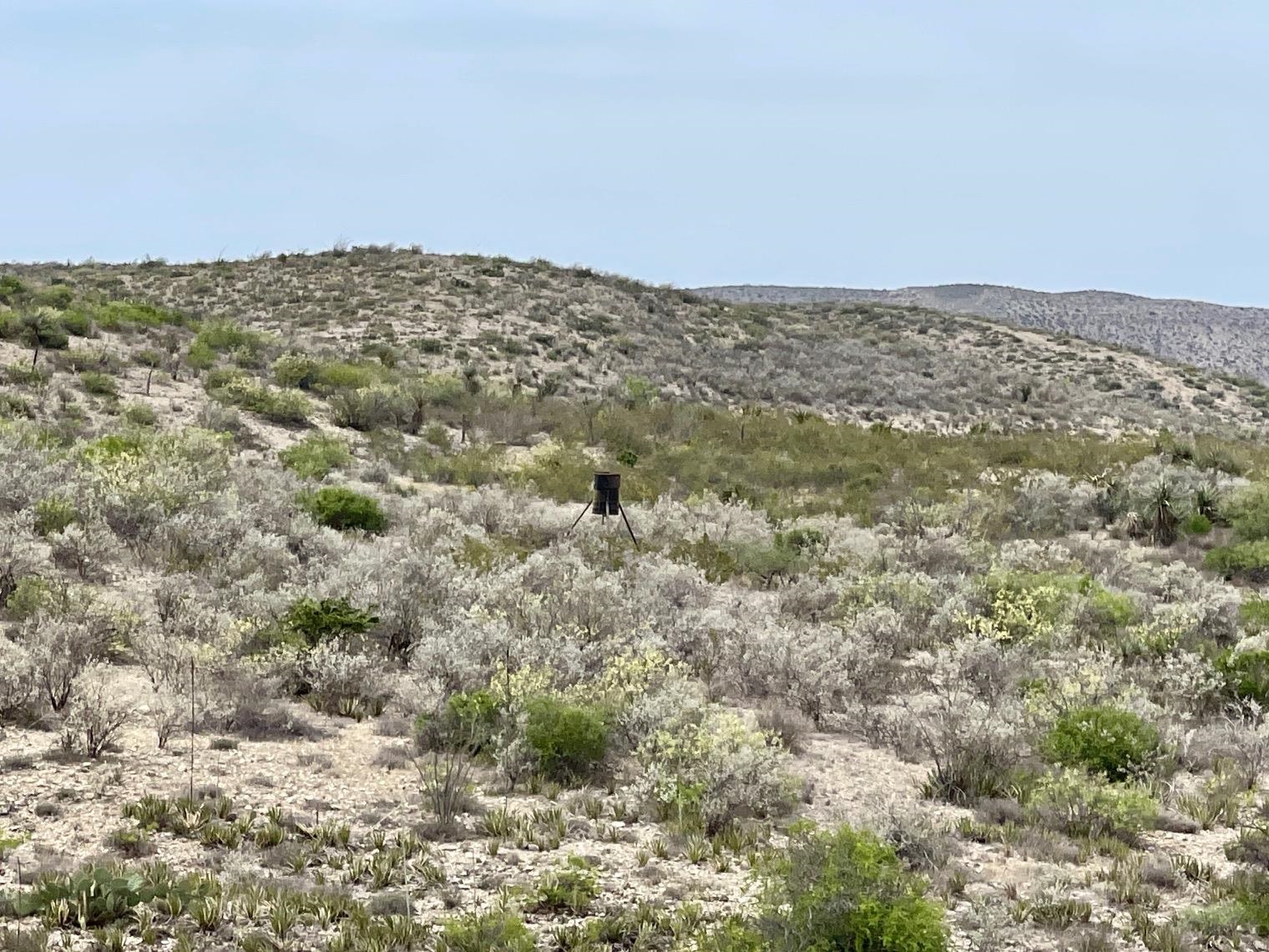 Image 20 of 35 For 000 Rio Ocotillo Ranch