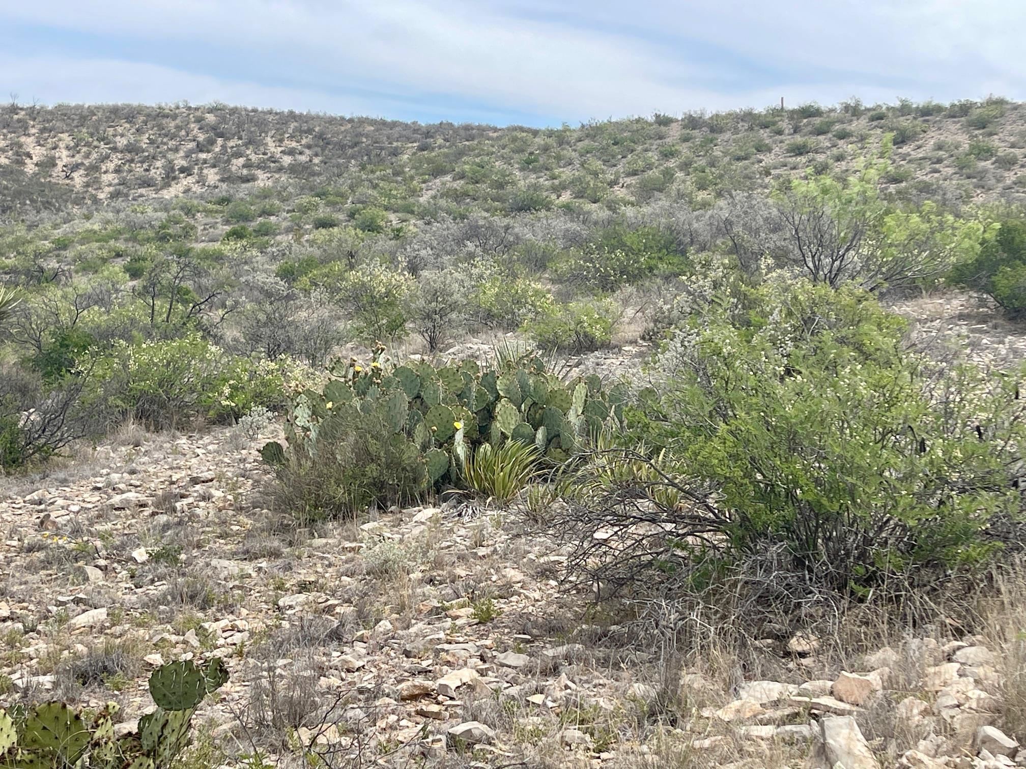 Image 23 of 35 For 000 Rio Ocotillo Ranch