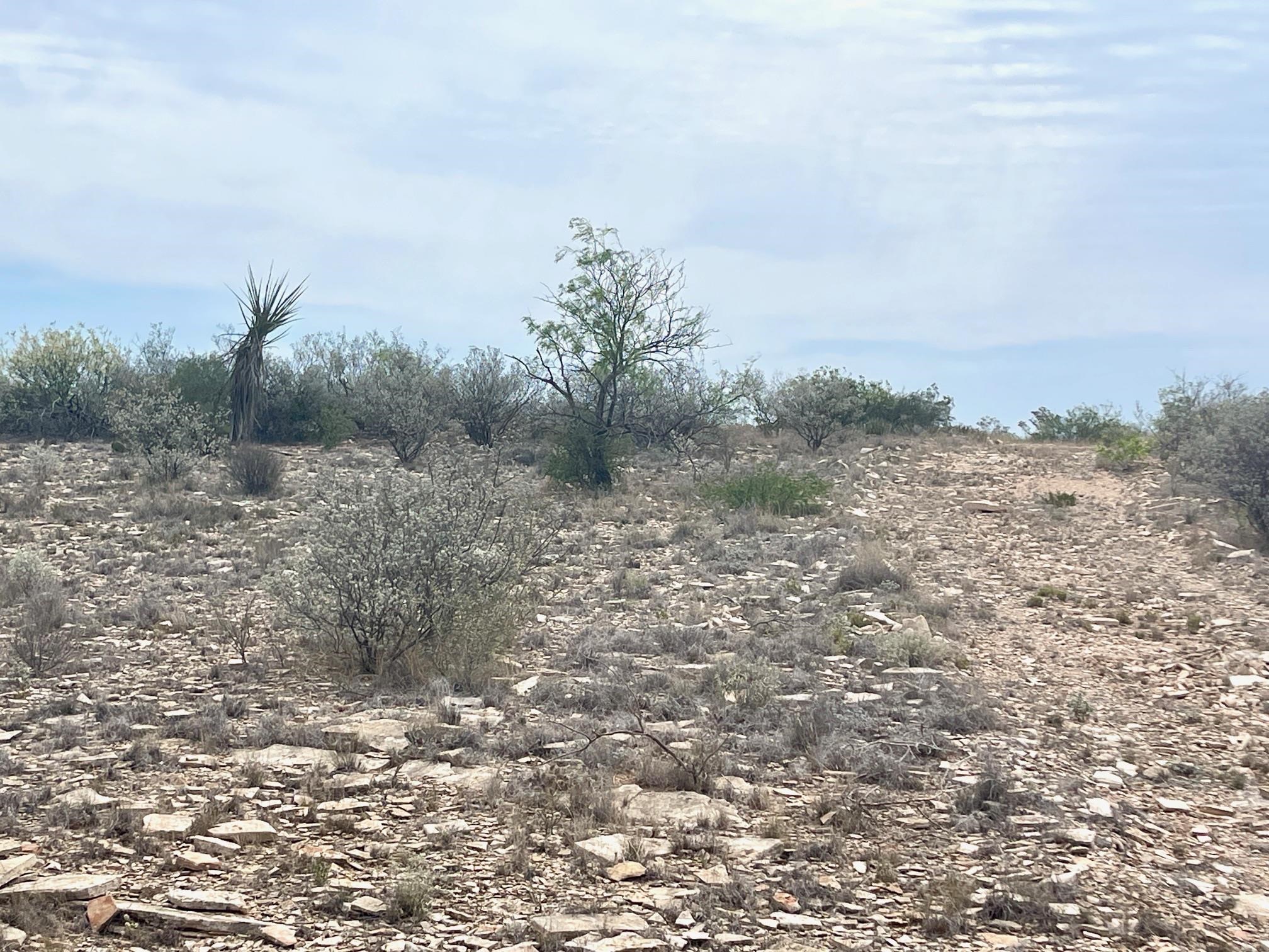 Image 26 of 35 For 000 Rio Ocotillo Ranch