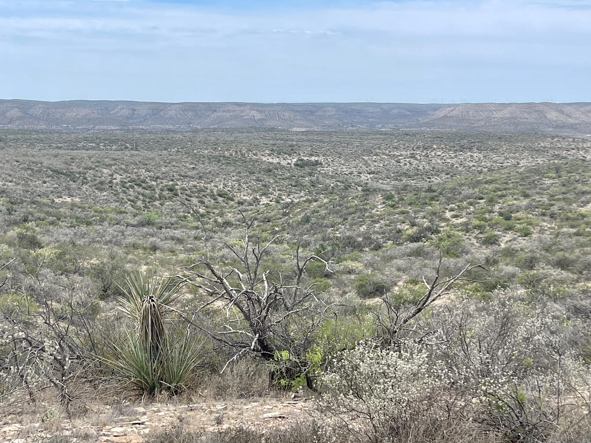 Image 27 of 35 For 000 Rio Ocotillo Ranch