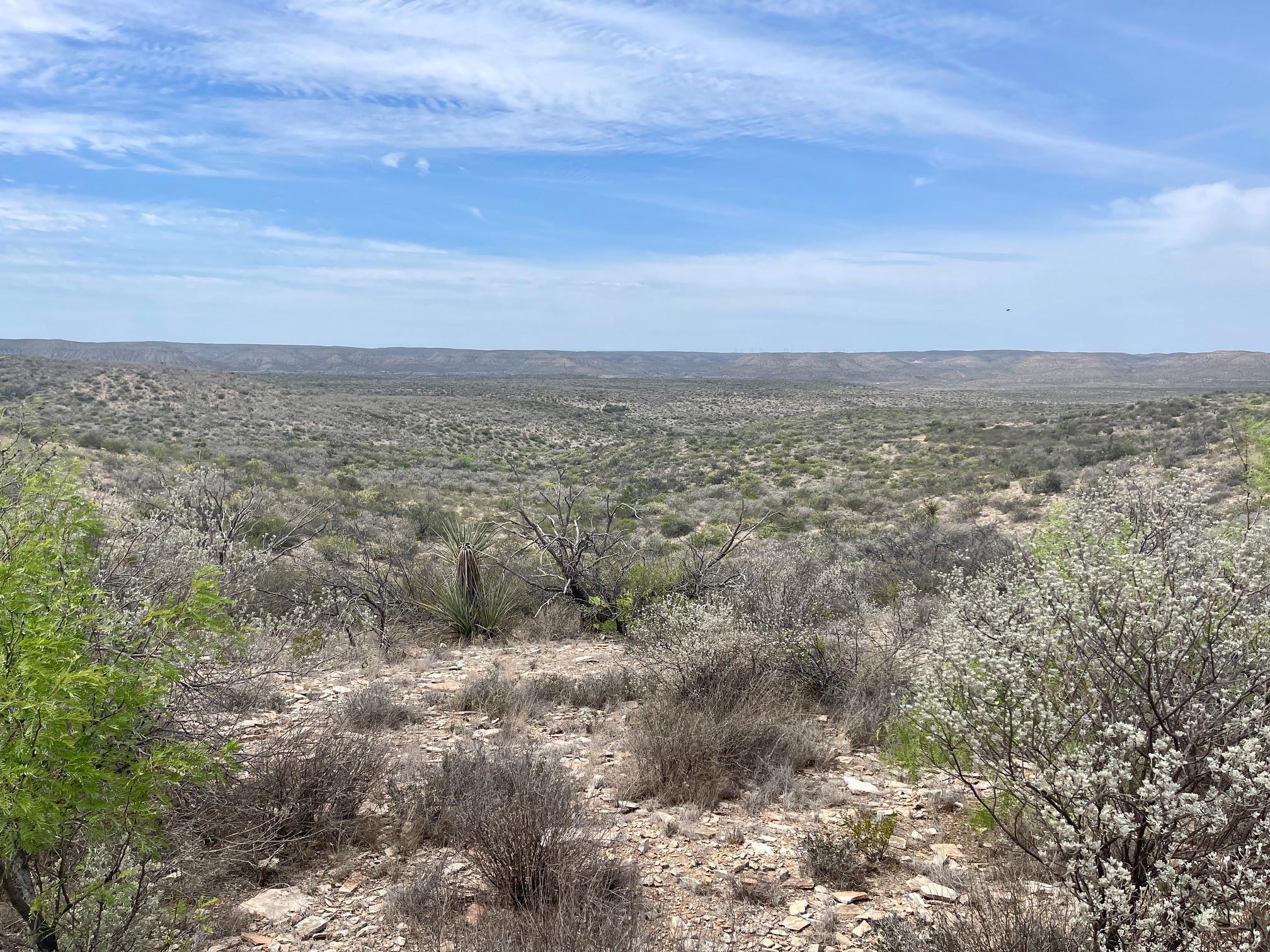 Image 28 of 35 For 000 Rio Ocotillo Ranch