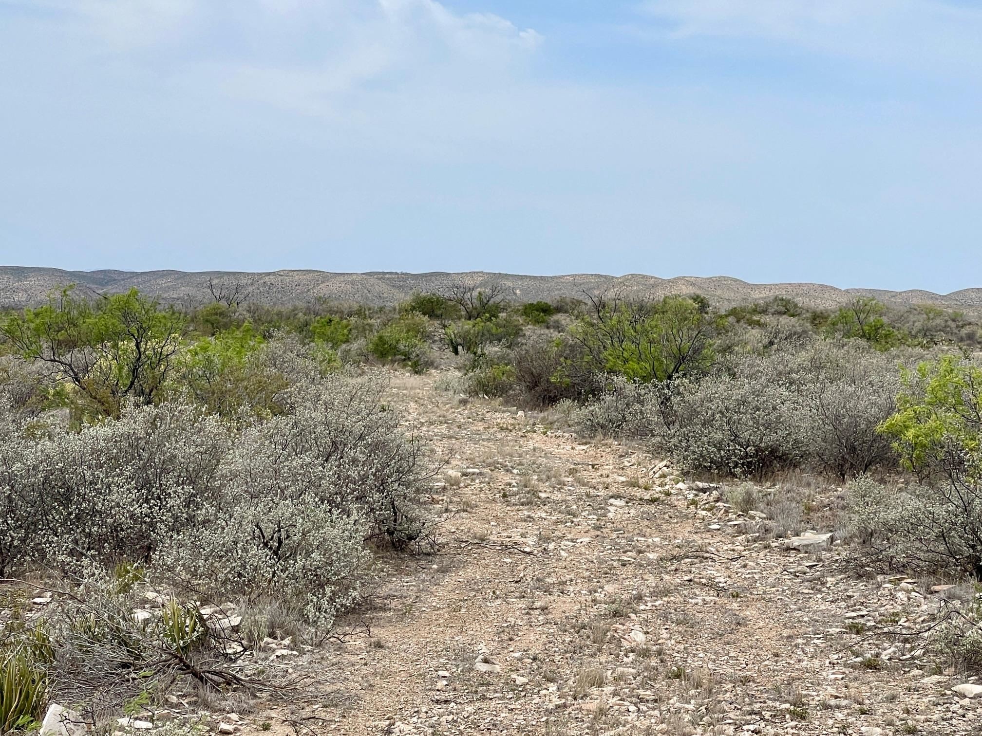 Image 29 of 35 For 000 Rio Ocotillo Ranch