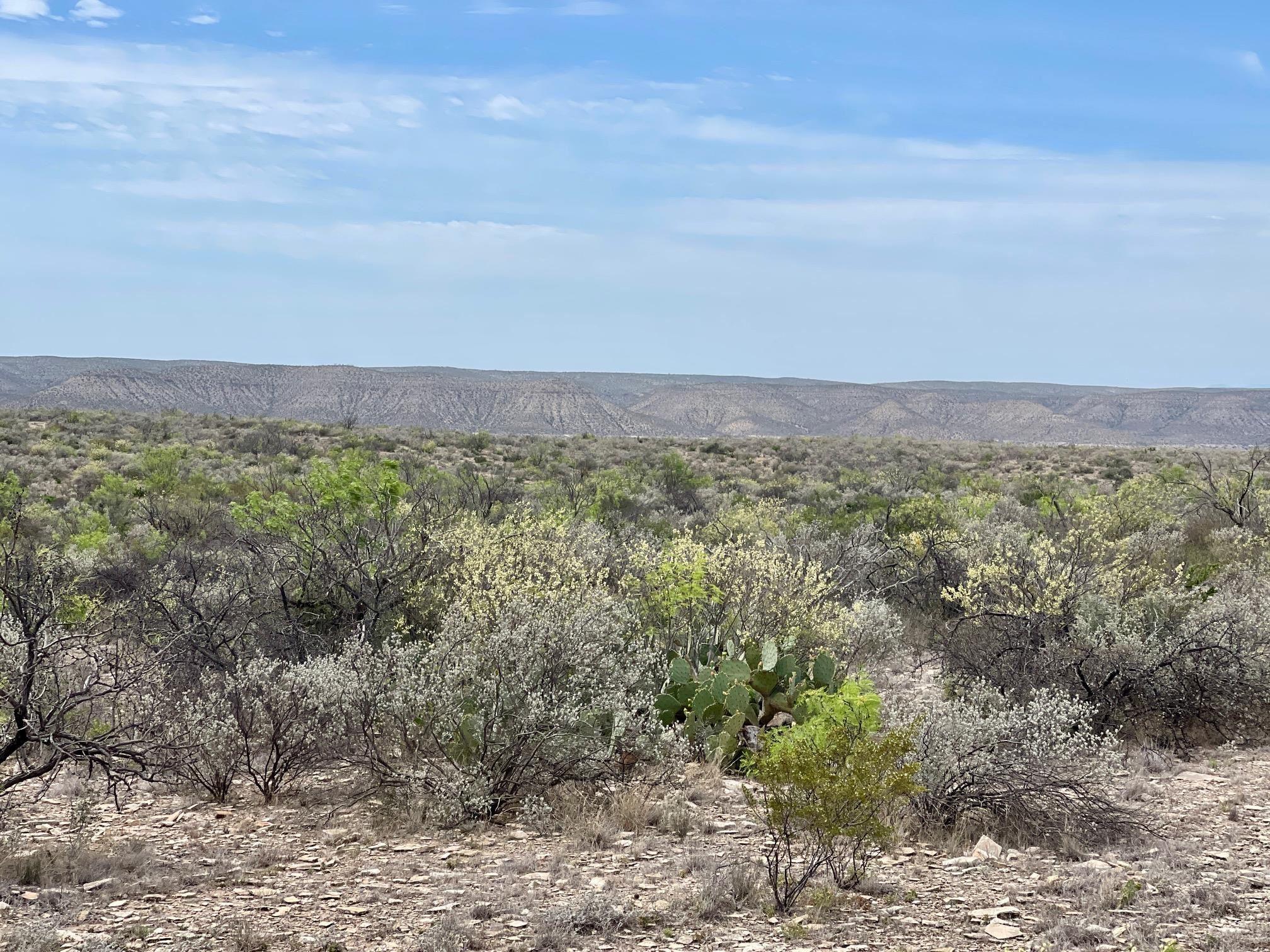 Image 30 of 35 For 000 Rio Ocotillo Ranch