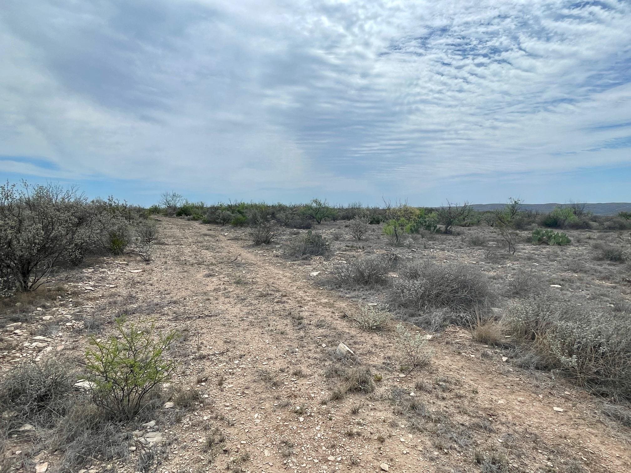 Image 32 of 35 For 000 Rio Ocotillo Ranch