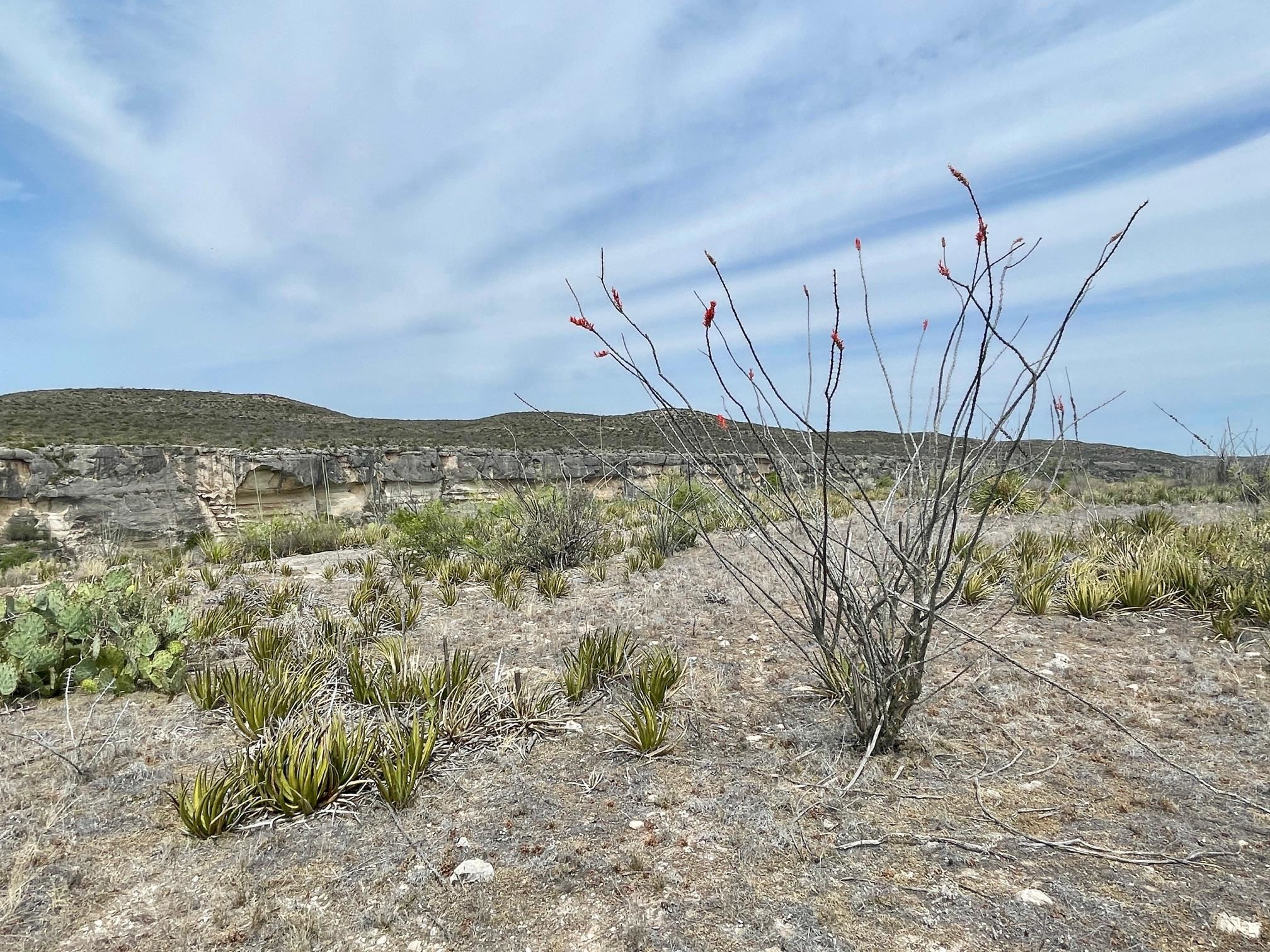 Image 7 of 35 For 000 Rio Ocotillo Ranch