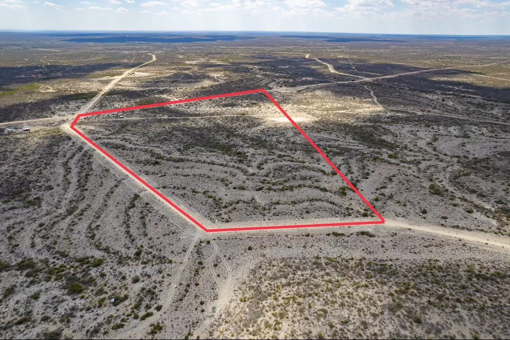 Image 12 of 18 For 1027 Lobo  