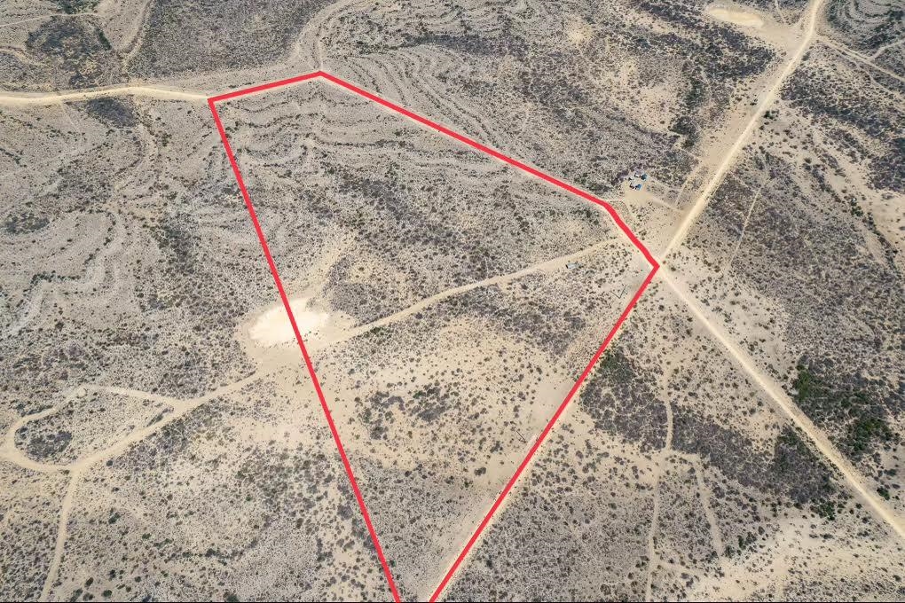 Image 14 of 18 For 1027 Lobo  