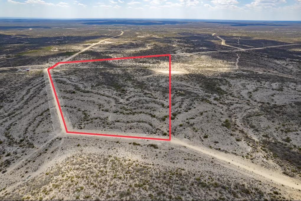 Image 4 of 18 For 1027 Lobo  