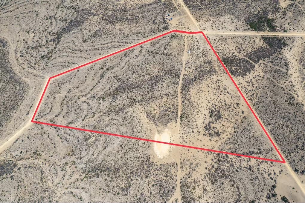 Image 6 of 18 For 1027 Lobo  