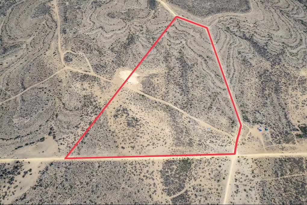 Image 7 of 18 For 1027 Lobo  