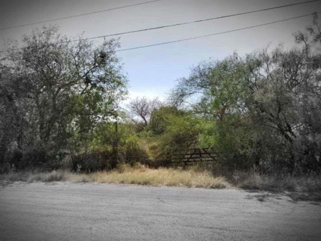 Listing Details for Birch, Lot 5,7,9 S, Del Rio, TX 78840