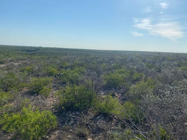 Details for Lot 6 Smolie, Del Rio, TX 78840