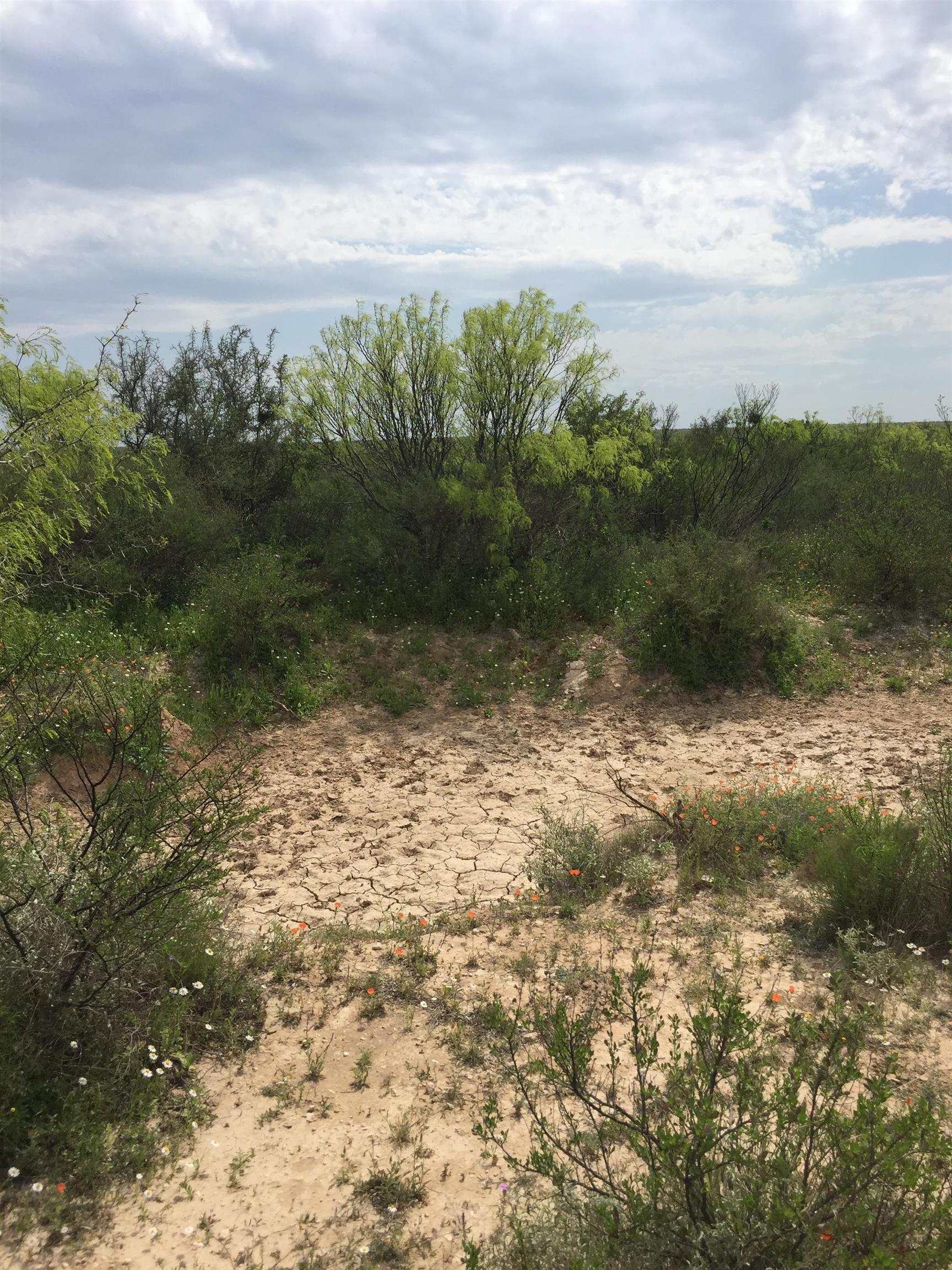 Image 10 of 12 For Rr 1865  