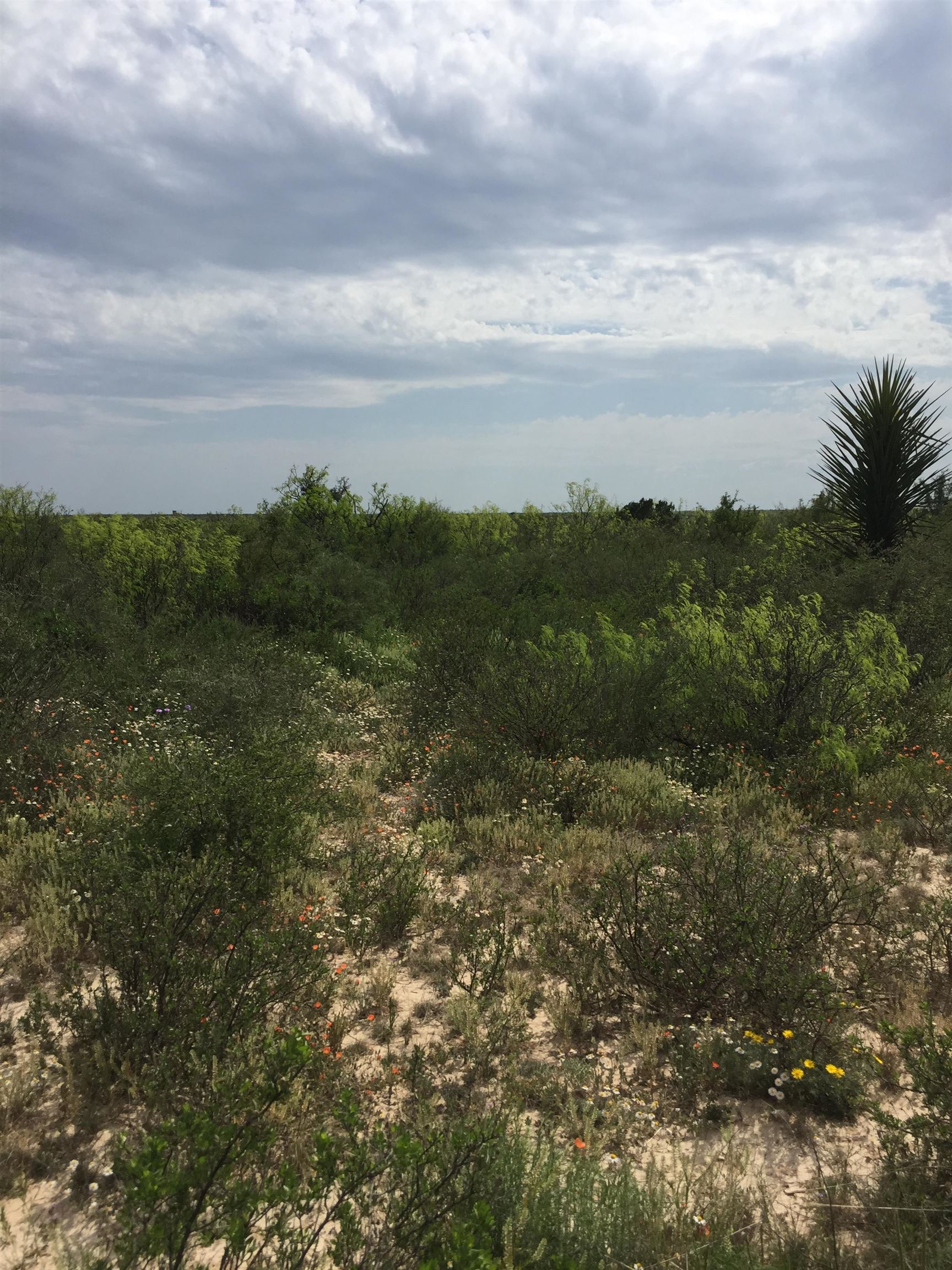 Image 11 of 12 For Rr 1865  