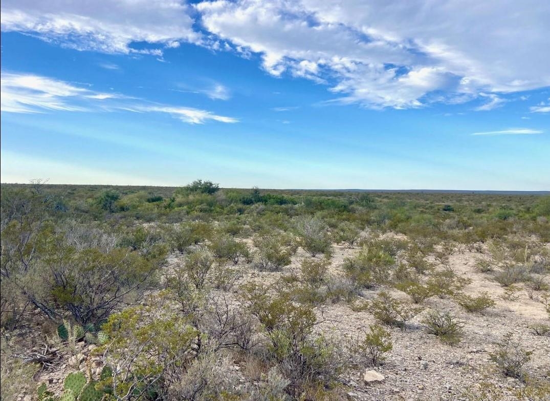 Image 2 of 12 For Rr 1865  