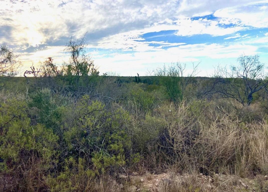 Image 6 of 12 For Rr 1865  