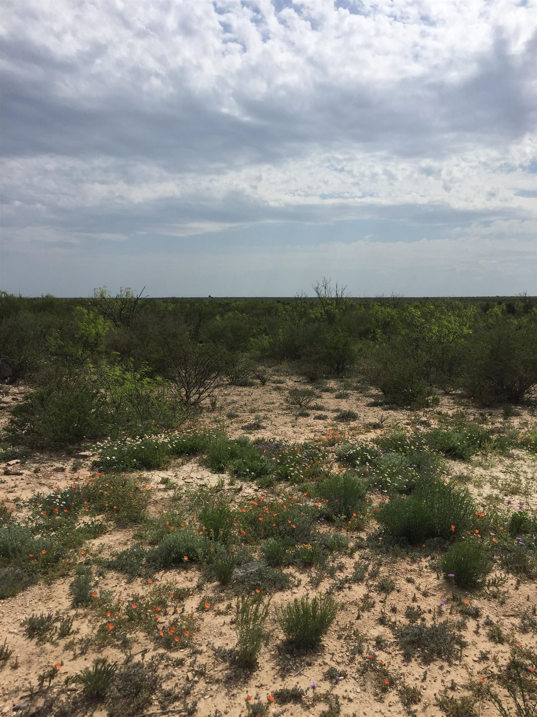 Image 7 of 12 For Rr 1865  