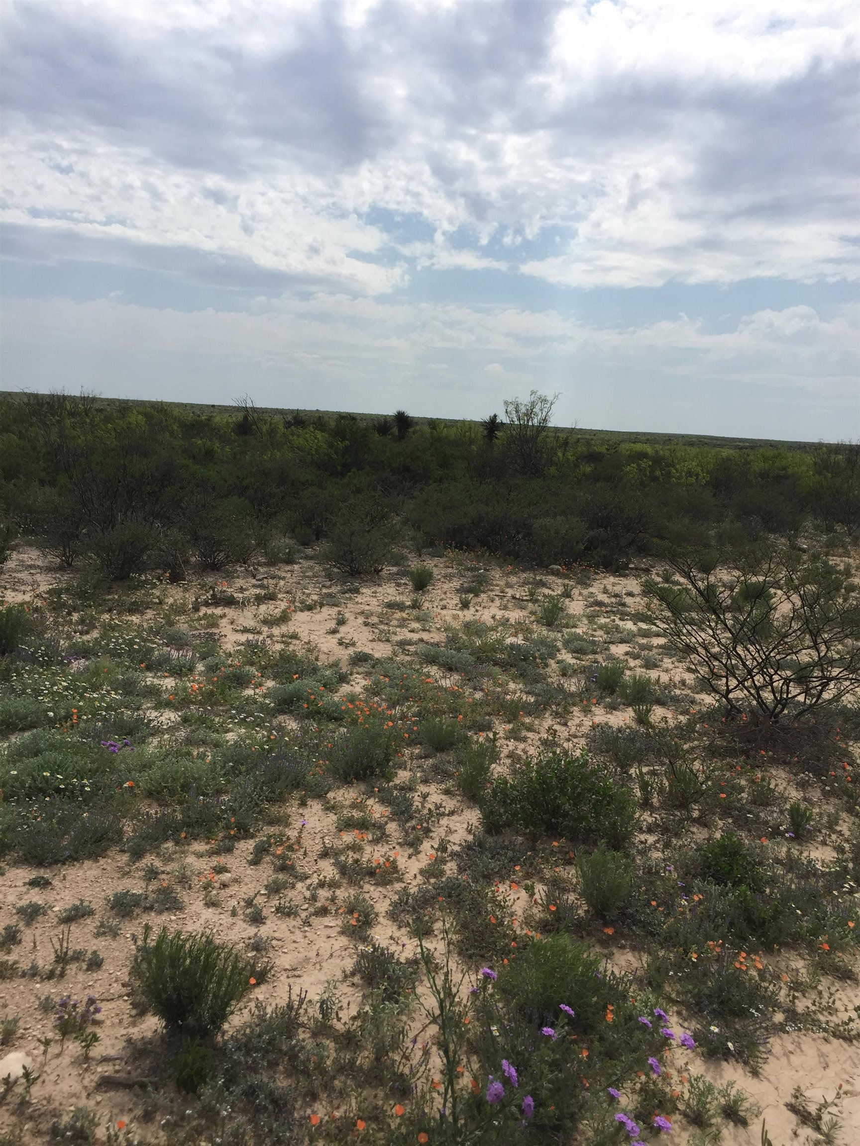 Image 8 of 12 For Rr 1865  