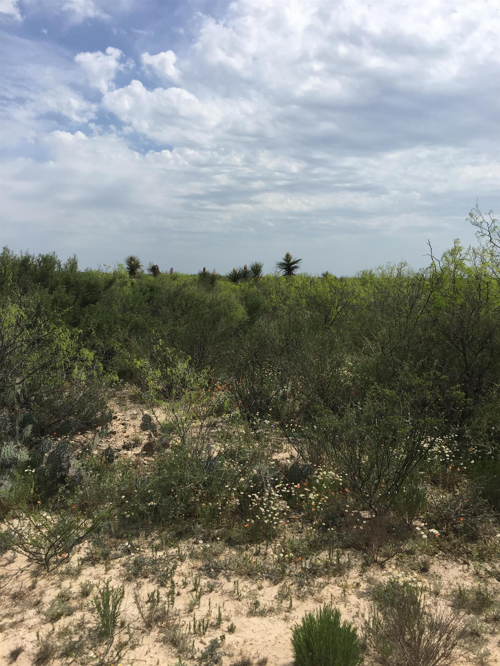 Image 9 of 12 For Rr 1865  