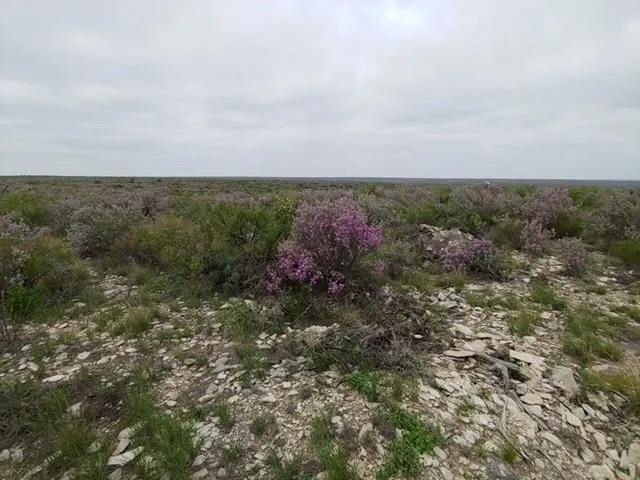 Image 11 of 13 For 000 Us Hwy 90 W