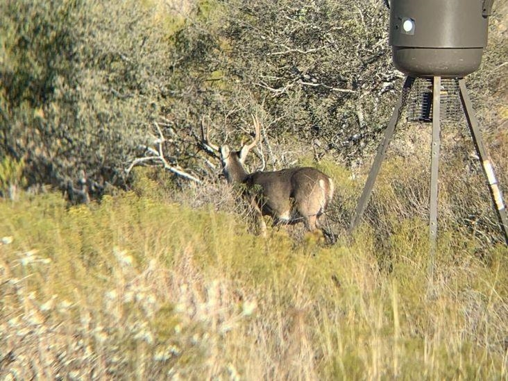 Image 7 of 13 For 000 Us Hwy 90 W