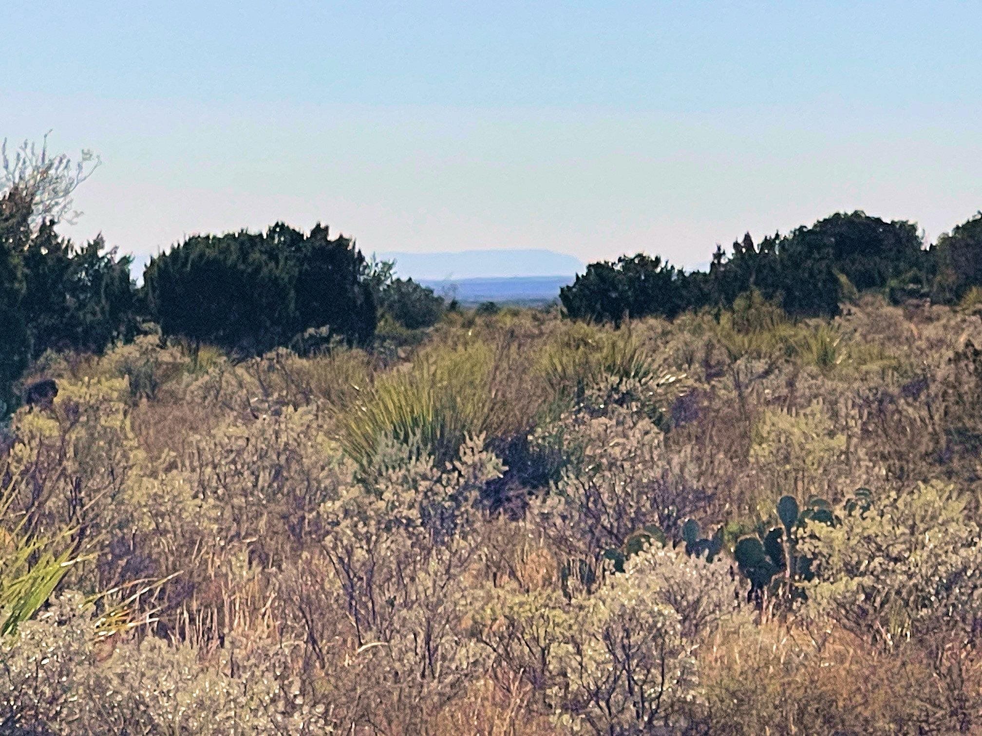 Image 10 of 41 For 734 Harmony