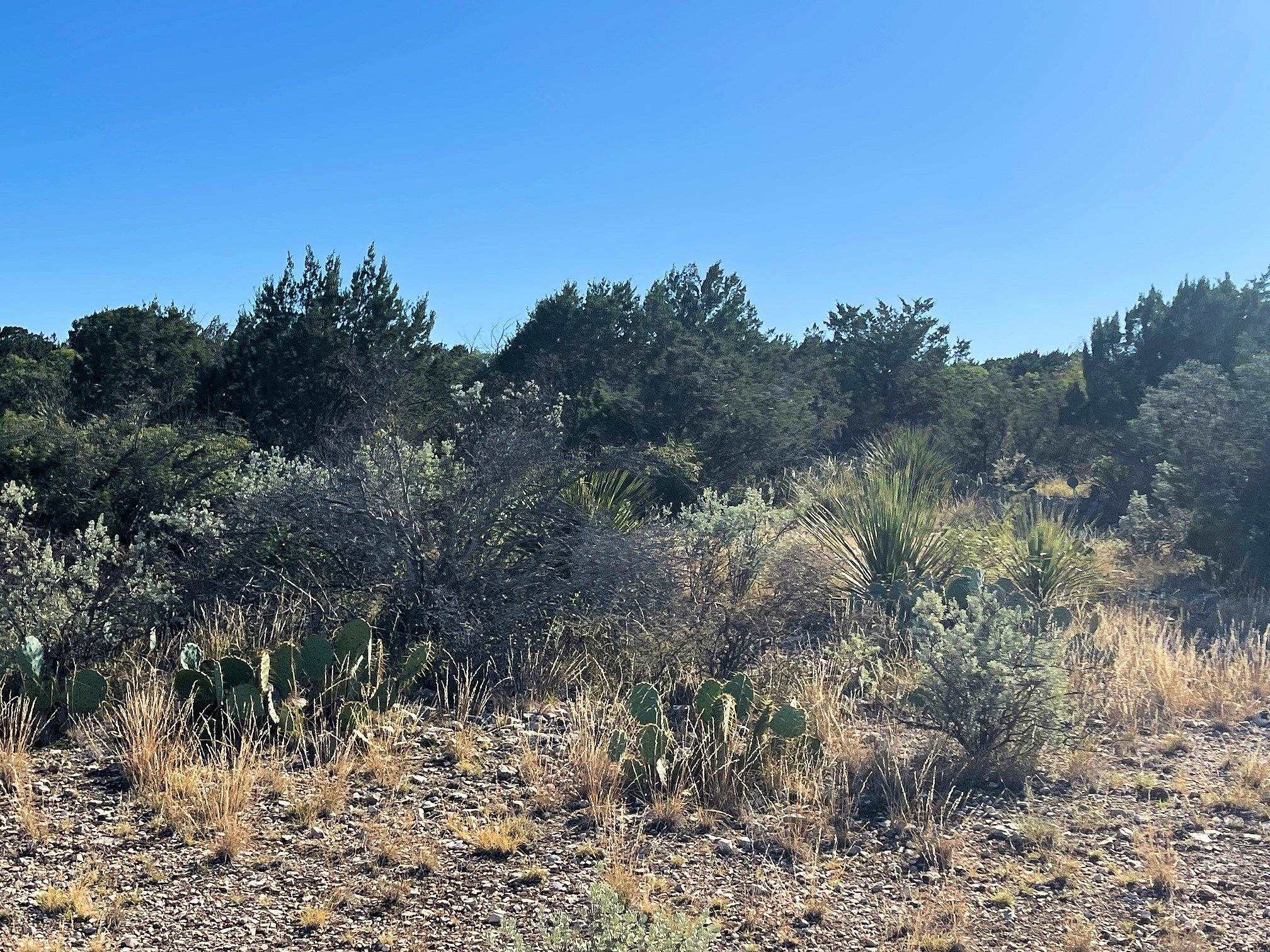 Image 11 of 41 For 734 Harmony