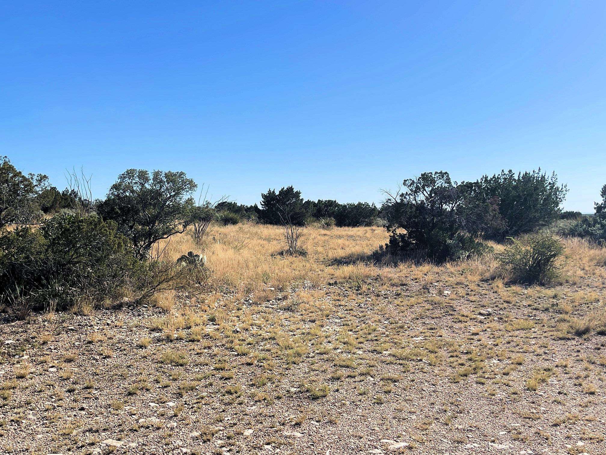 Image 12 of 41 For 734 Harmony