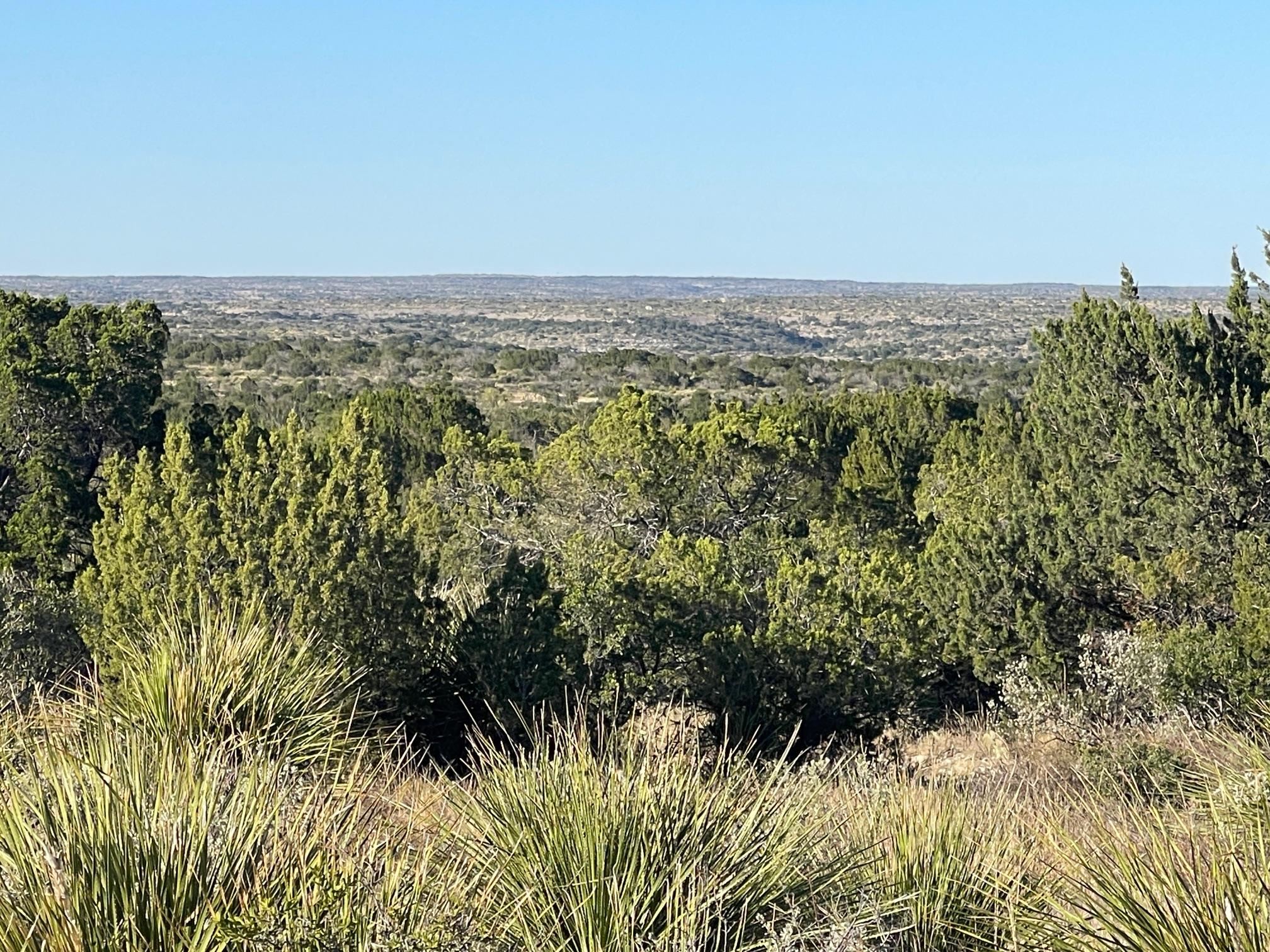 Image 14 of 41 For 734 Harmony