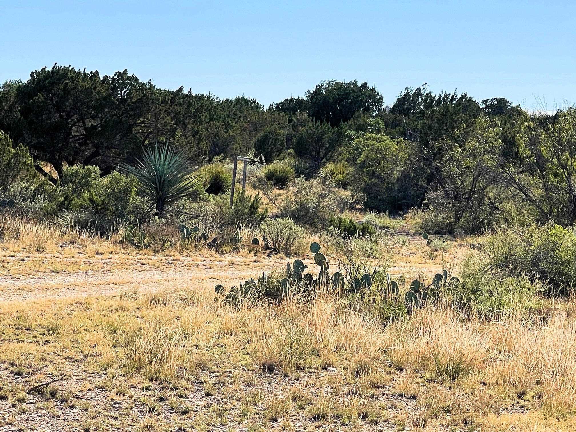 Image 15 of 41 For 734 Harmony