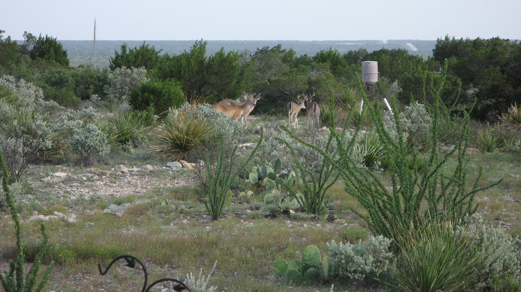 Image 2 of 41 For 734 Harmony