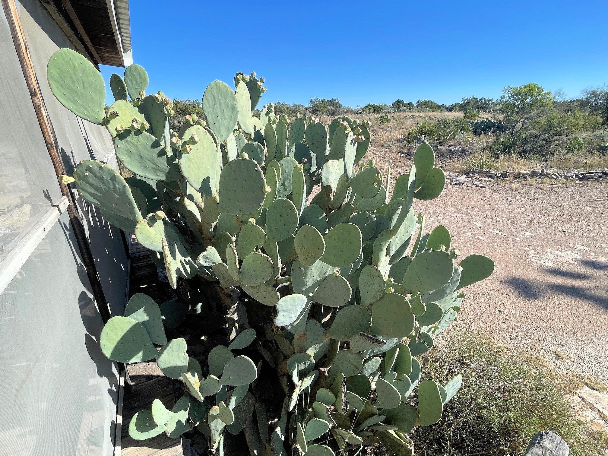 Image 35 of 41 For 734 Harmony